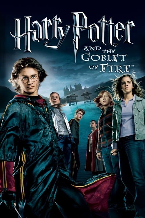 Harry Potter And The Goblet Of Fire (2005) movie poster